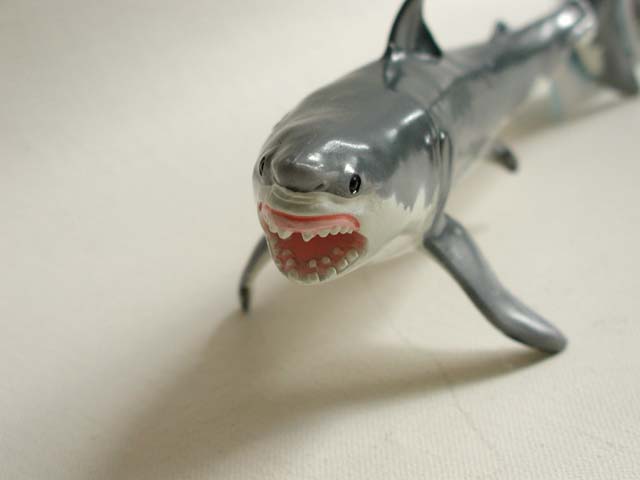 ＊サメ・クジラ　オーダー受付中＊ サメ・クジラ オーダー受付中＊